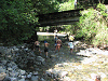 camp23 (181)_samu.gif